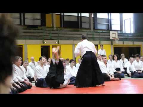 Seminar with Christian Tissier Shihan, 7. Dan Aikikai in Extertal 2011