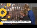 Proef: op deze boerderij hebben varkens meer ruimte