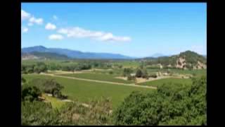 Neil Young Everybody&#39;s Alone (RARE UNRELEASED DEMO)