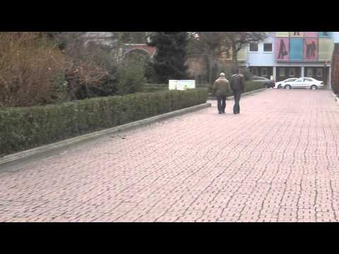 Schonen Dag - Big Bill