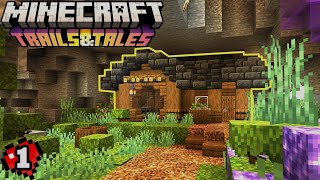 The PERFECT START! Lets Play Minecraft 120 - #1