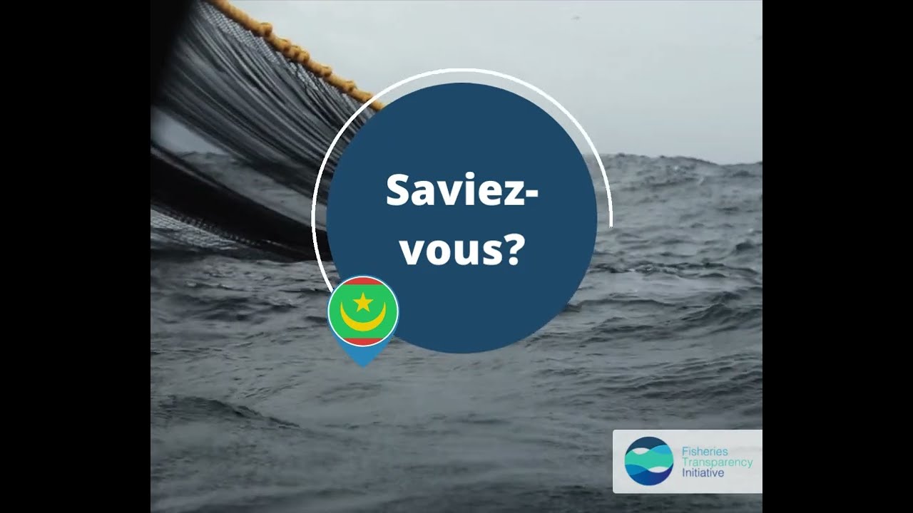 #KnowYourFisheries - Large-Scale fishing vessels in Mauritania (2019-20)