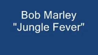 Bob Marley rare song! jungle fever   YouTube