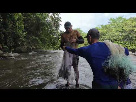 Un recordatorio de una pesca en el rio Aracataca Magdalena #pesca #pescador #colombia 