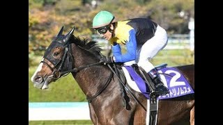 【阪神牝馬S予想オッズ】秋華賞馬アカイトリノムスメが予想1番人気|Top News