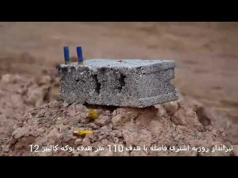 pcp steyr LG 110 . Distance 110 m