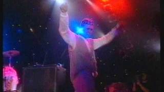 Madness - The Harder They Come (Madstock, Finsbury Park)