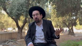 י״ד אלול • יום חג נס הביפרים | הרב אליהו ובר (ישיבת הר הבית) - התמונה מוצגת ישירות מתוך אתר האינטרנט יוטיוב. זכויות היוצרים בתמונה שייכות ליוצרה. קישור קרדיט למקור התוכן נמצא בתוך דף הסרטון י״ד אלול • יום חג נס הביפרים | הרב אליהו ובר (ישיבת הר הבית) - התמונה מוצגת ישירות מתוך אתר האינטרנט יוטיוב. זכויות היוצרים בתמונה שייכות ליוצרה. קישור קרדיט למקור התוכן נמצא בתוך דף הסרטון