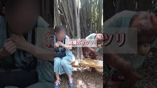 【タイ】仲里依紗さんも大興奮のお触りオラウータン🐒🩷inサファリワールド　#タイ#サファリワールド#仲里依紗