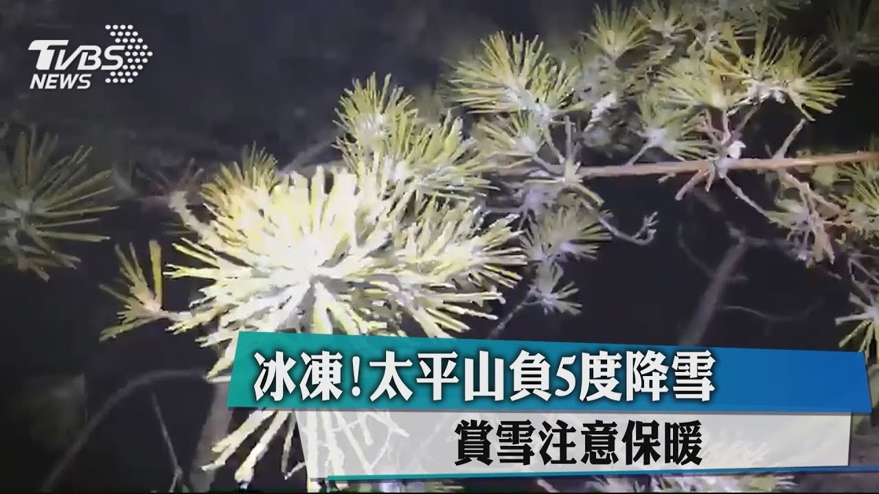 銀白太平!積雪0.5公分 民眾興奮打雪仗