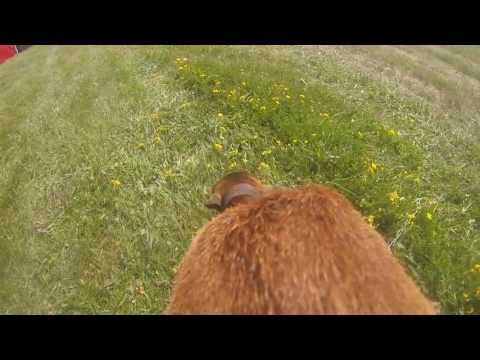 Mighty Bella - Mighty sounds 2013