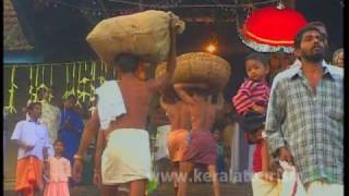preview picture of video 'Aranmula Heritage Village'