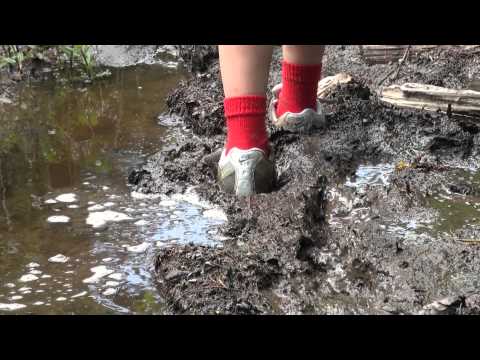 Vom Weidest auf den Gäbris