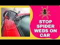 How To Stop Spider Webs On Car Mirrors? Simple Solution
