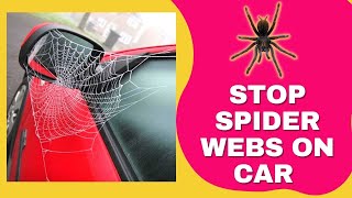 How To Stop Spider Webs On Car Mirrors? Simple Solution