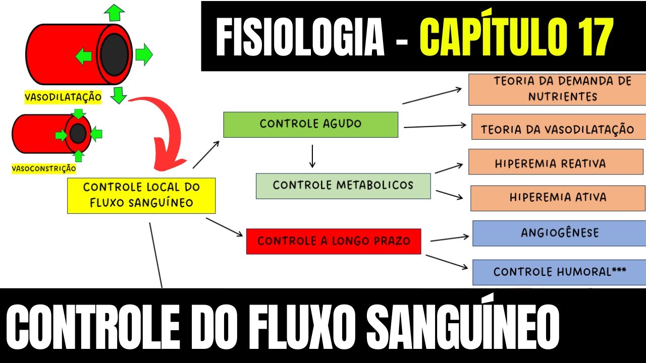 CONTROLE LOCAL E HUMORAL DO FLUXO SANGUÍNEO PARA OS TECIDOS -Fisiologia (Capítulo 17)│Guyton e Hall