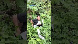 Download lagu rejeki nomplok#komedi lucu#viral# mp3