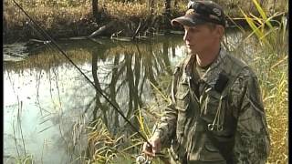 Ловля щуки на малых водоема