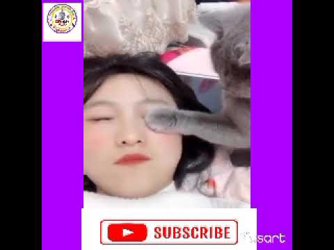 #dharmendra/New_Funniest_Cats_🐱_and_Dogs_🐶_Videos_Part_09(240p).mp4 #New Amimals people comedy video