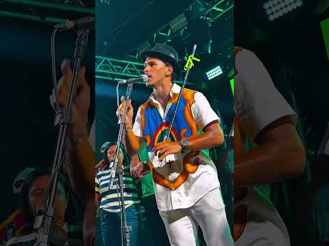 Maracatu Pavão Dourado 🦚🦚 Tracunhaém/PE