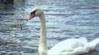 Novaspace - One More Try.wmv