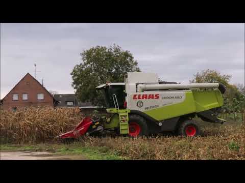 Claas Lexion 550 beim Mais dreschen.