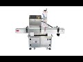 Automatic Rotor Pump Filling Machine