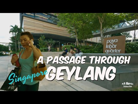 A passage through Geylang - Singapore [4K 30fps]