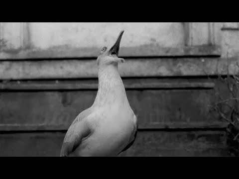 The sounds of Robert Eggers