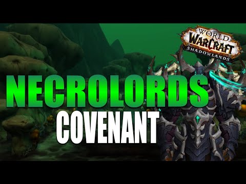 ALL THE GRIPS! Necrolords Covenant Preview Death Knight Shadowlands Beta