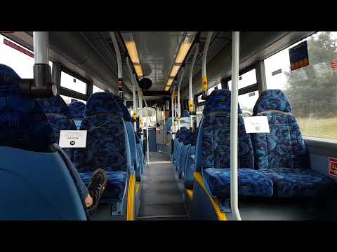 MAJOR DIVERSION: Route 50 | NK56KJV/5261 - Go North East: Scania CN230UB/Omnicity