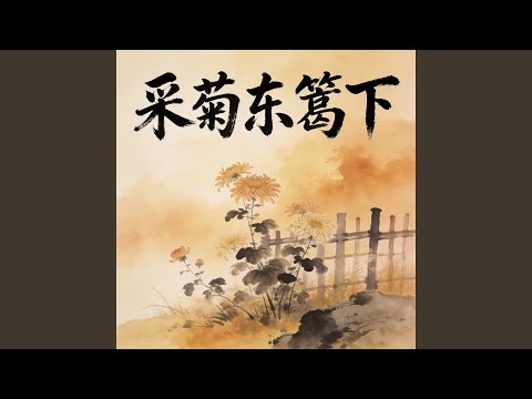 东篱菊