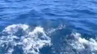 Vargo - Talking One Language