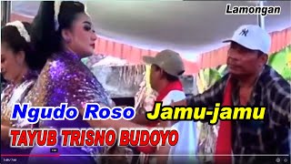 Download lagu Ngudo Roso _ Jamu - jamu _ Trisno Budoyo mp3