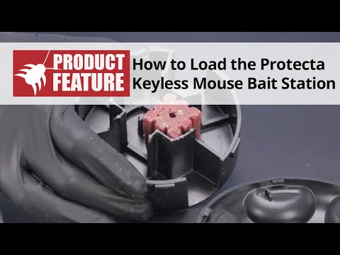  How to Load the Protecta Keyless Mouse Bait Station Video 