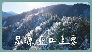 思源啞口追雪｜台灣下雪了｜帶茉莉茶茶去追雪｜宜蘭大同【紀錄短片】
