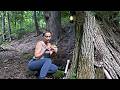Bushcraft Girl In The Forest Primitive Shelter ASMR Survival