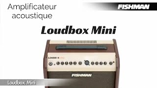 Fishman Loudbox Mini - Video