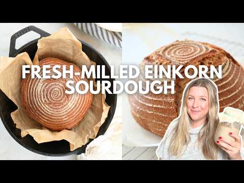 So machen Sie Einkorn-Sauerteig mit frisch gemahlenem Mehl