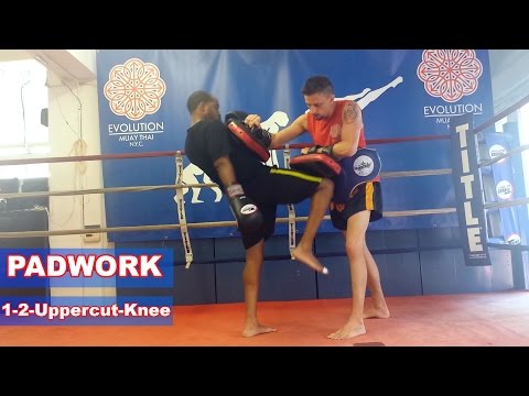 Padwork Combinations: 1-2-Uppercut-Knee