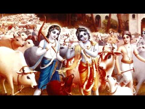 Bhushan Jain hindi voice