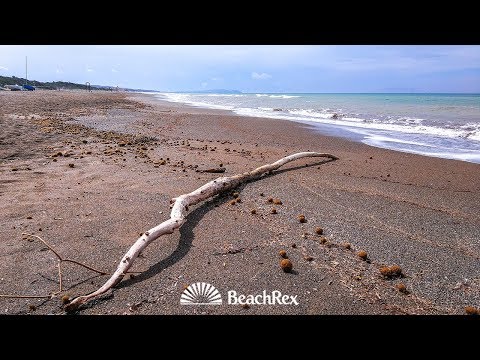Spiaggia Seggio, Castagneto Carducci, Italy