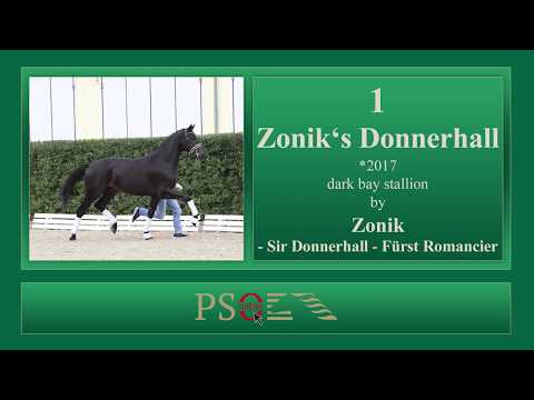 1 Zoniks Donnerhall PS