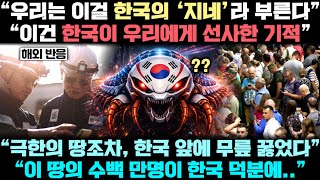 한국이 집념으로 만든 세계 2위의 기적! ‘한국산 지네’가 전세계 대륙을 누비고 있는 실제 상황