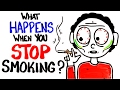 What Happens When You Stop Smoking?