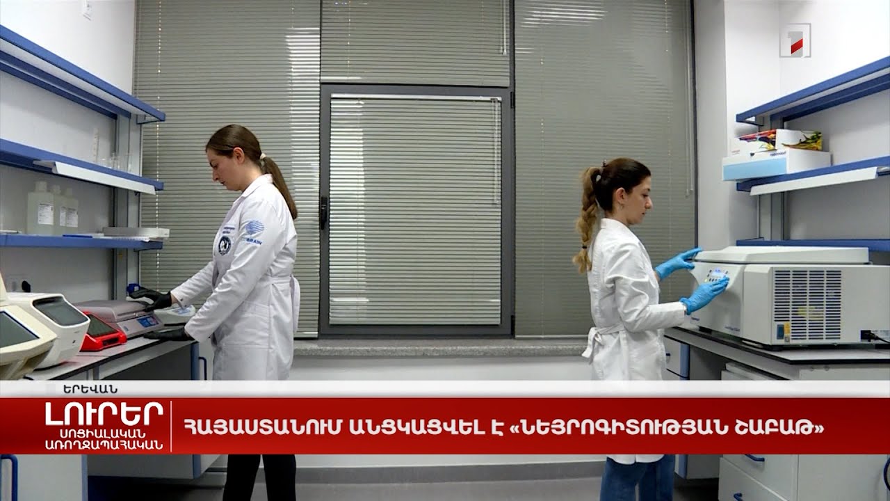 Հայաստանում անցկացվել է «Նեյրոգիտության շաբաթ»