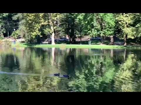 Warm Last Day of Summer