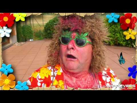 DJ Happy Vibes - Sig. Robinson