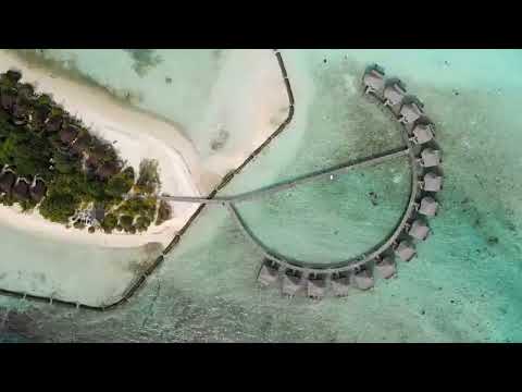 Dastic - I Need You Again ( DJBlackSide Remix ) - 2025