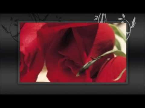 download lagu mp3 mp4 This Only You In My Life, download lagu This Only You In My Life gratis, unduh video klip This Only You In My Life